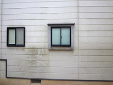長岡京市の外壁塗装リフォーム。リフォーム前白い外壁です。窓下の外壁にカビが生えているのがよくわかります。